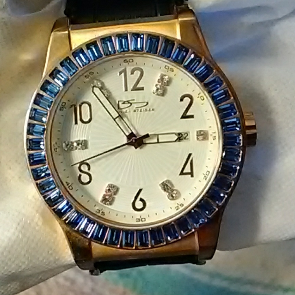 Daniel steiger watch